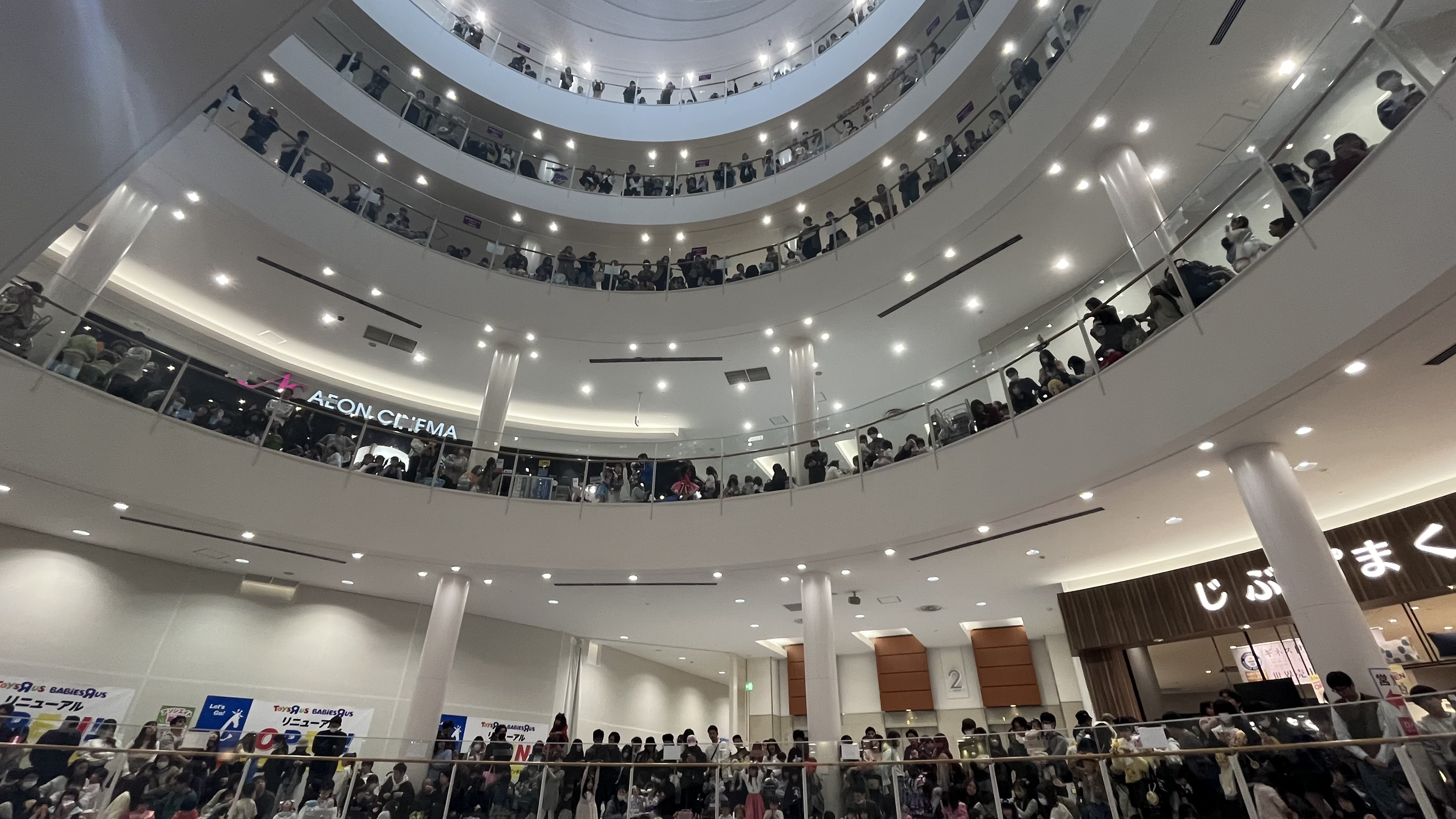 イオンヌ11　famサマ 楽天市場】Max Mara The Cube マックスマーラ ザ・キューブ ダウン